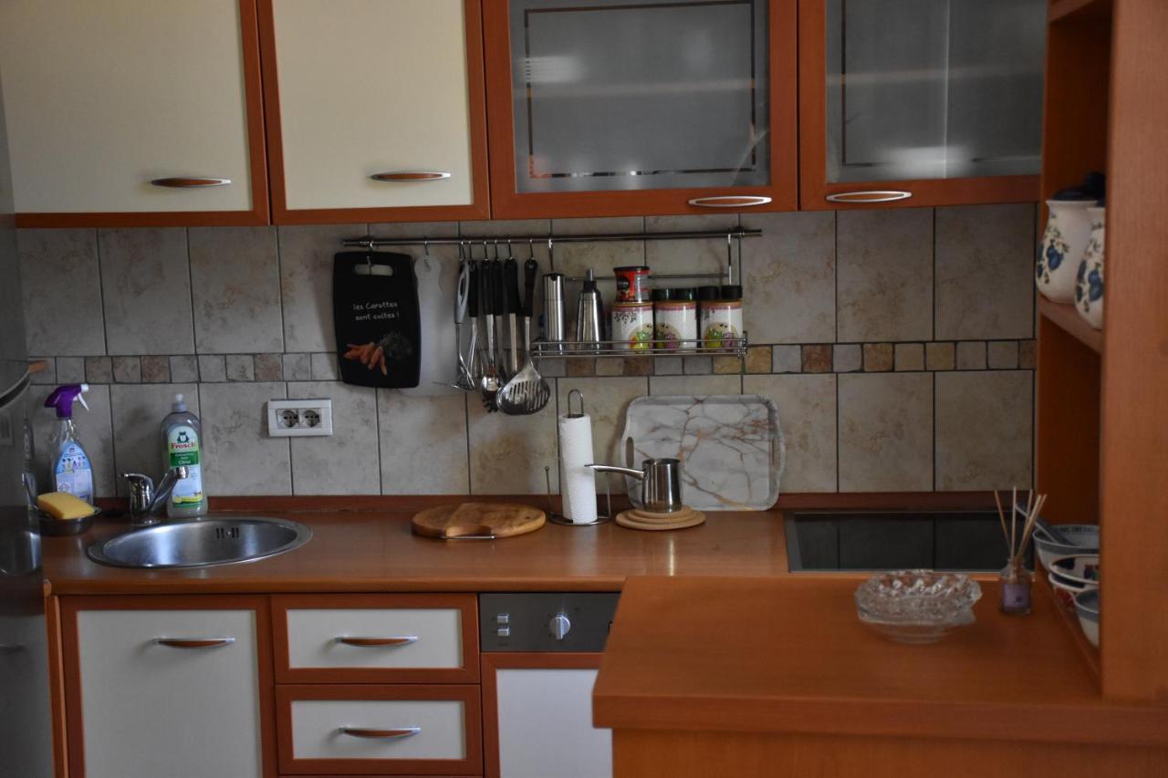 Apartment Music-Center, In The Center Of Podgorica Exterior foto
